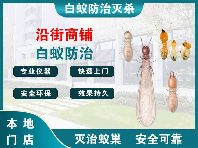 丹徒区沿街商铺白蚁防治