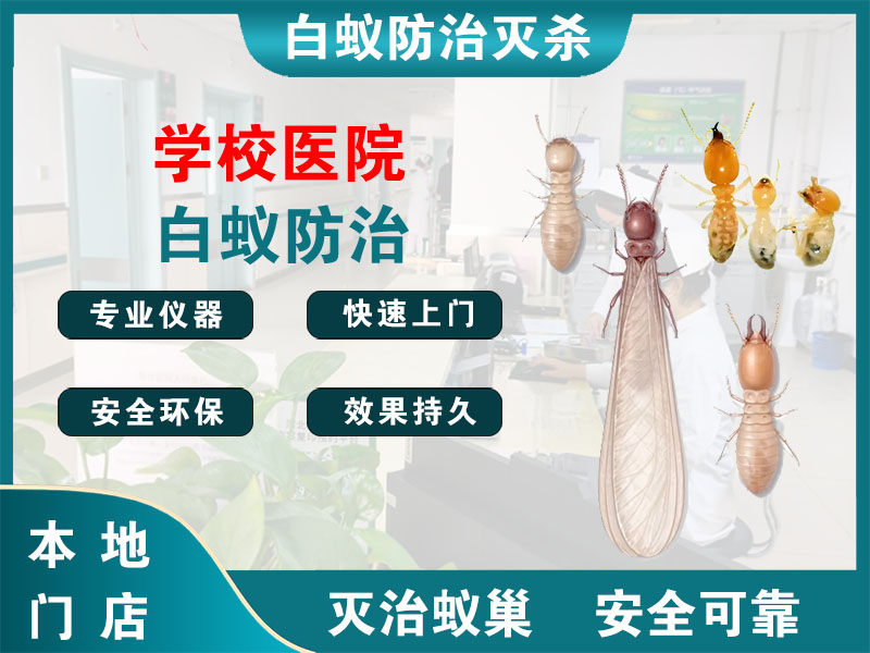 丹徒区学校医院白蚁防治