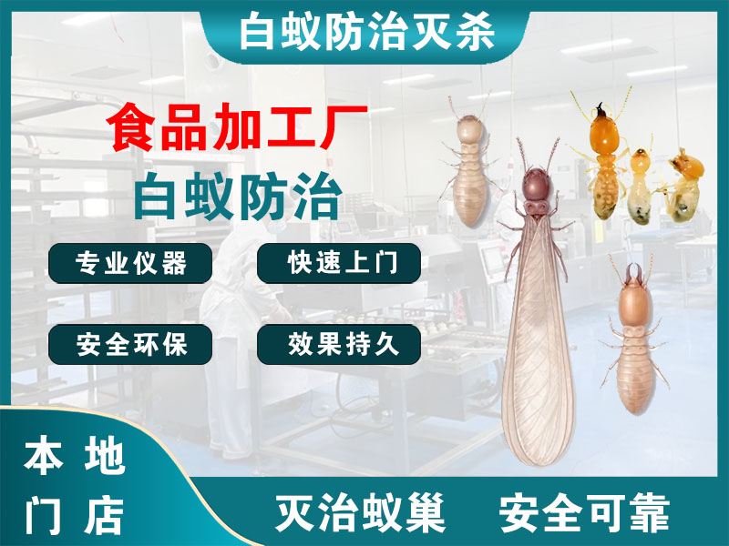 丹徒区食品加工厂白蚁防治