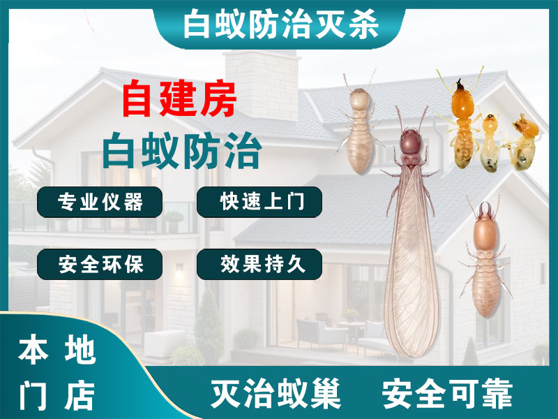 丹徒区自建房白蚁防治