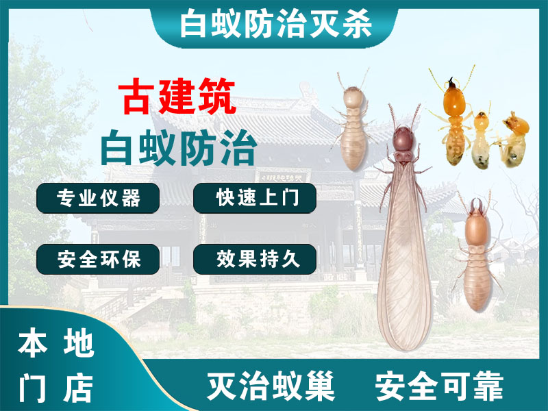 丹徒区古建筑白蚁防治