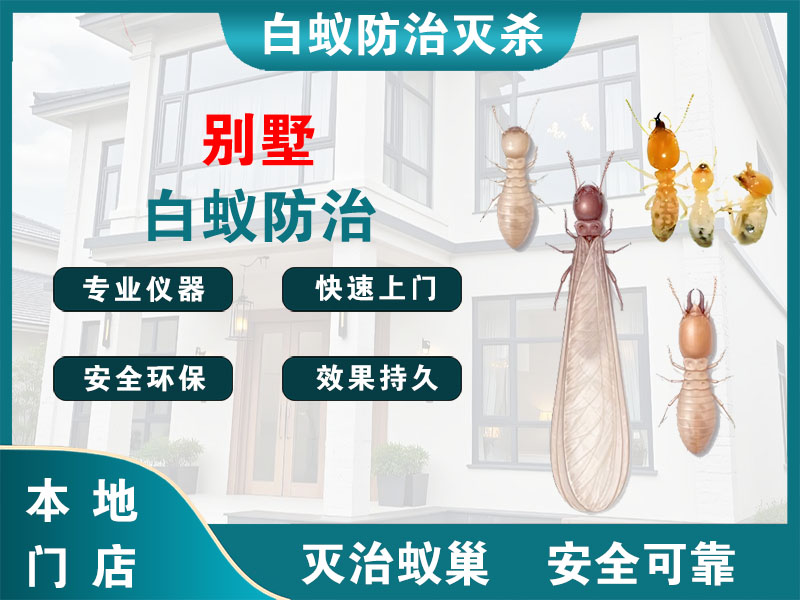 丹徒区别墅白蚁防治